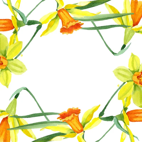 Acuarela flor narciso amarillo. Flor botánica floral. Marco borde ornamento cuadrado . — Foto de Stock
