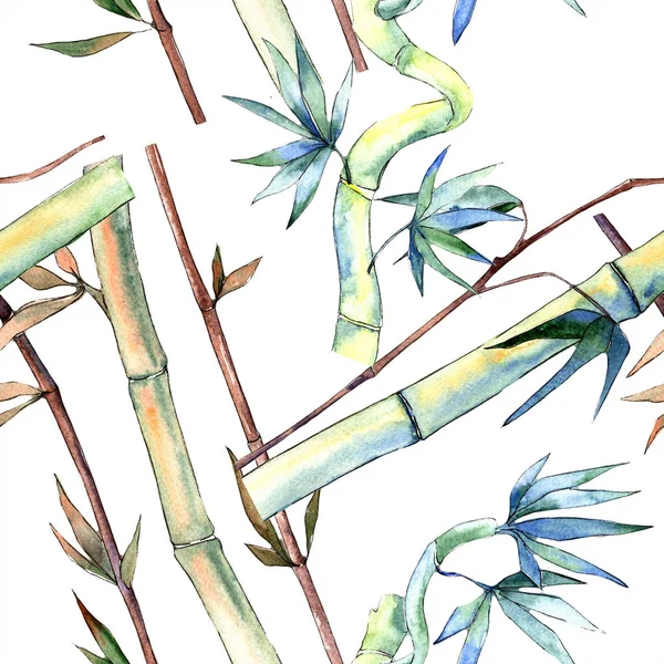 Hoja verde de bambú. Planta de hojas de jardín botánico follaje floral. Patrón de fondo sin costuras . —  Fotos de Stock