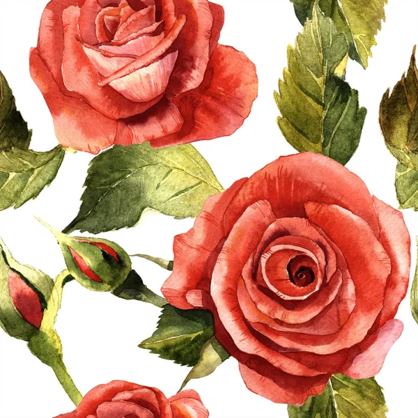수채화 빨간 장미 꽃입니다. 꽃 식물 꽃입니다. 원활한 배경 패턴. — 스톡 사진