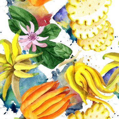 Egzotik tropik bitki yabani meyve izole bir suluboya tarzında. Sorunsuz arka plan deseni. 