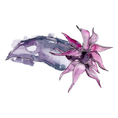 Mor su sualtı doğa mercan kayalığı. İzole illüstrasyon öğesi.