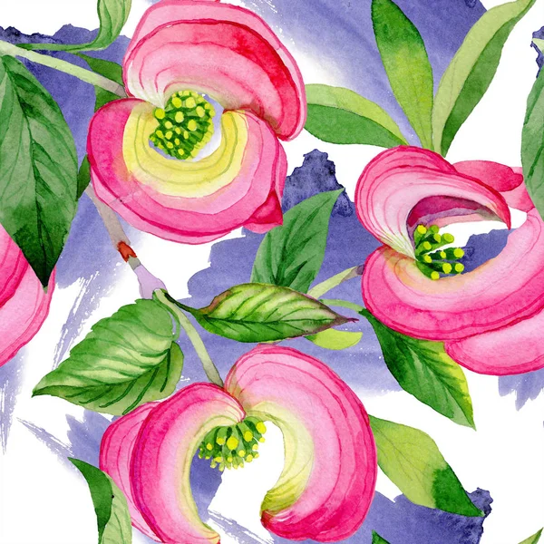 Acuarela flor de cornus florida rosa. Flor botánica floral. Patrón de fondo sin costuras . — Foto de Stock