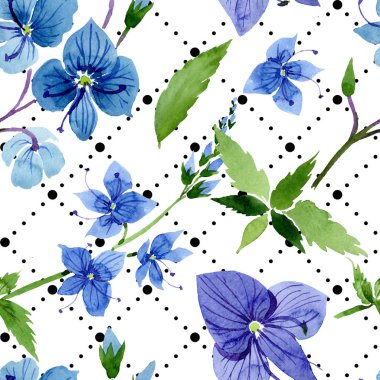 Suluboya mavi Veronica çiçek. Botanik çiçek. Sorunsuz arka plan deseni.