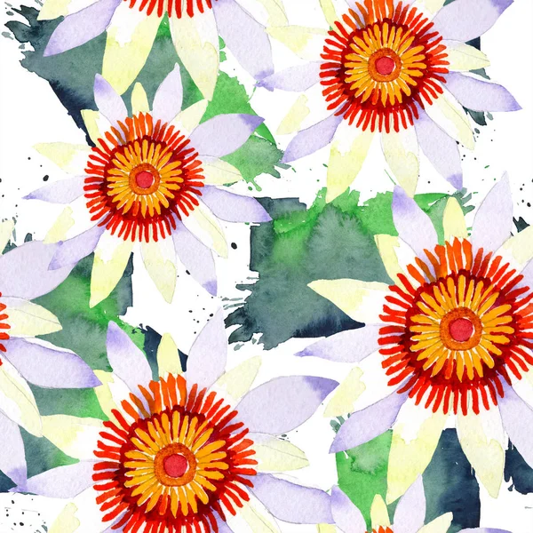 水彩の白い蓮の花 花植物の花 フレーム枠飾りスクエア テクスチャ ラッパー パターン フレームや境界線の Aquarelle ワイルドフラワー — ストック写真