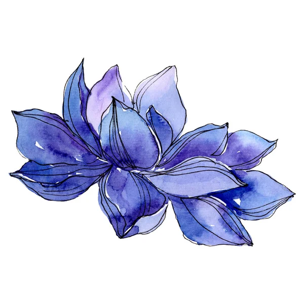 Watercolor blue lotus flower. Floral botanical flower. Isolated illustration element. — Stock Photo, Image