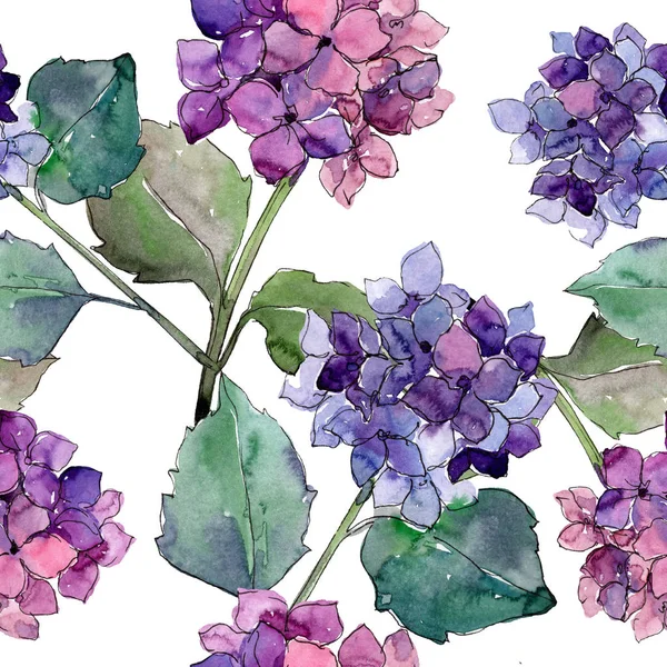 Acuarela flor gortenzia púrpura. Flor botánica floral. Patrón de fondo sin costuras . — Foto de Stock