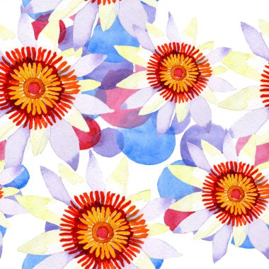 Sulu boya beyaz lotus çiçeği. Botanik çiçek. Çerçeve kenarlığı süsleme Meydanı.