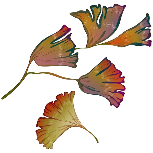 Vektor Herbst gelbe und rote Ginkgoblätter. — Stockvektor