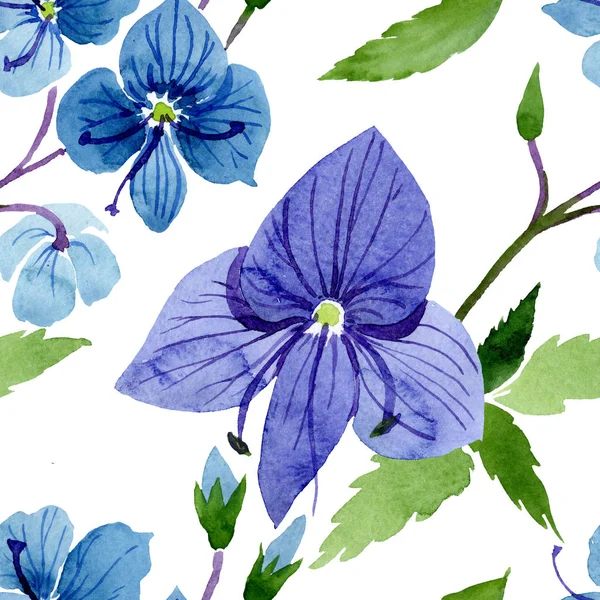 Акварель синя квітка Вероніки. Квіткова ботанічна квітка. Безшовний візерунок тла . — стокове фото
