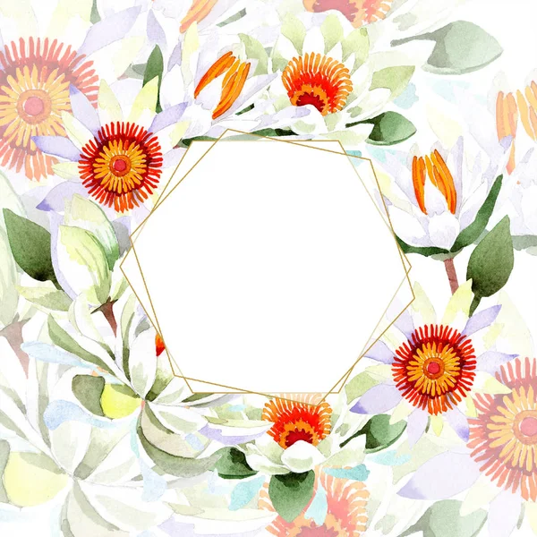 Akvarell, vit lotusblomma. Blommig botaniska blomma. Ram gränsen prydnad square. — Stockfoto