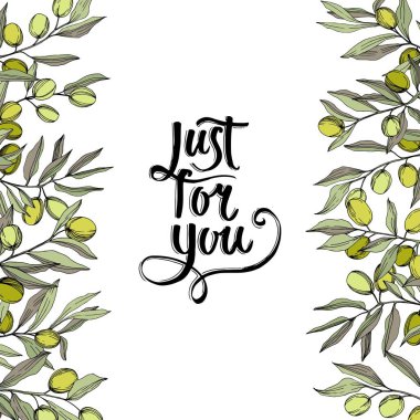 Zeytin ağacı izole bir vektör tarzı. Yeşil oyulmuş mürekkep sanat.