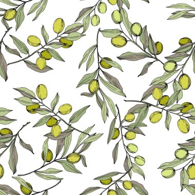 Zeytin ağacı izole bir vektör tarzı. Yeşil oyulmuş mürekkep sanat.