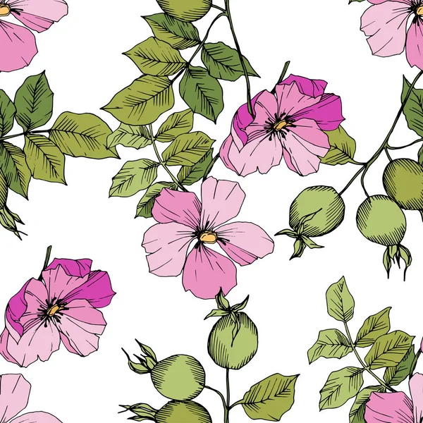 Flor silvestre rosa canina en un estilo vectorial aislado. Arte de tinta grabada verde y rosa . — Vector de stock