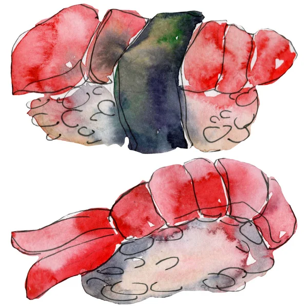 Güzel lezzetli Japon suşi illüstrasyon suluboya suşi kümesi. Beyaz arka plan üzerinde izole elle çizilmiş nesneleri. — Stok fotoğraf