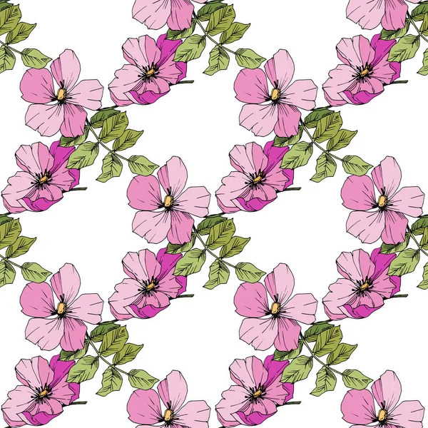 Flor silvestre rosa canina en un estilo vectorial aislado. Arte de tinta grabada verde y rosa . — Vector de stock