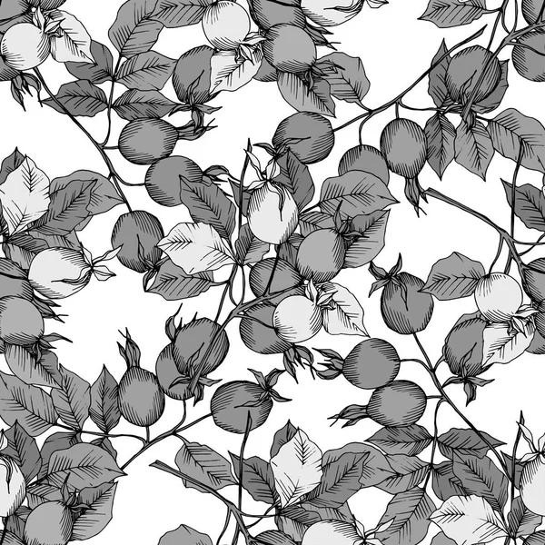 Wildflower rosa canina ve stylu vektor, samostatný. Černá a bílá vyryto inkoust umění. — Stockový vektor