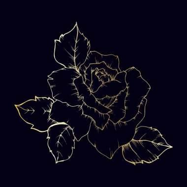 Altın izole bir vektör tarzda kır çiçeği güller.