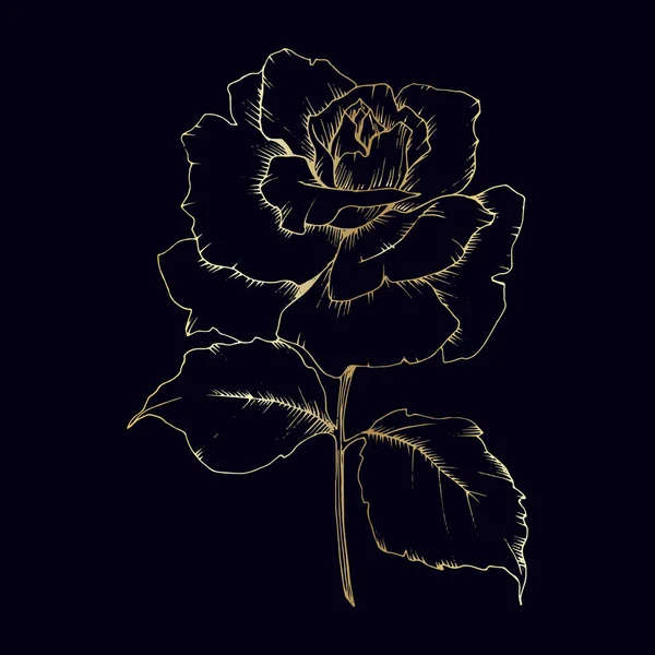 Wildflower rosor i guld i vektor stil isolerade. — Stock vektor