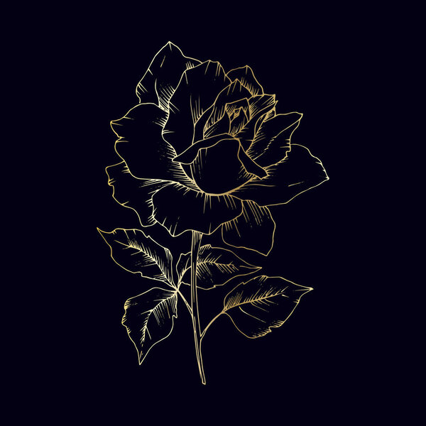 Розы в золоте в векторном стиле изолированы
.