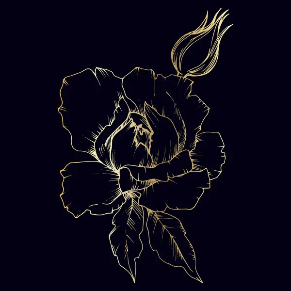 金分離ベクトル スタイルの野生の花バラ. — ストックベクタ