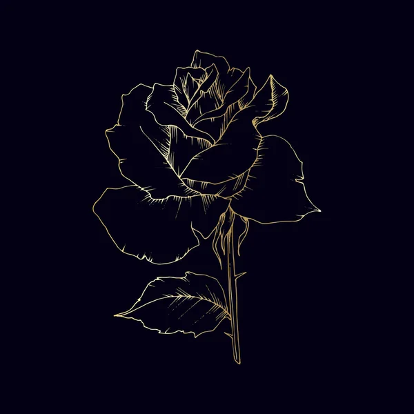Wildflower rosor i guld i vektor stil isolerade. — Stock vektor