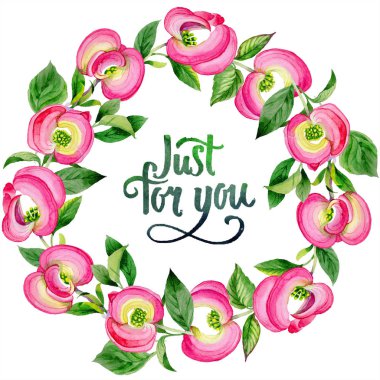 Sulu boya pembe cornus florida çiçek. Botanik çiçek. Çerçeve kenarlığı süsleme Meydanı.