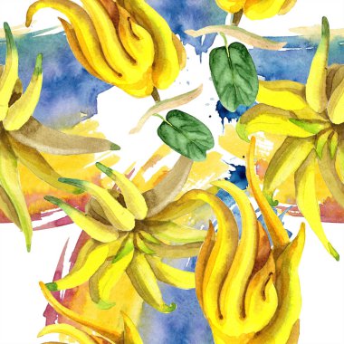 Egzotik tropik bitki yabani meyve izole bir suluboya tarzında. Sorunsuz arka plan deseni. 