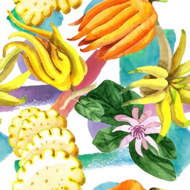 Egzotik tropik bitki yabani meyve izole bir suluboya tarzında. Sorunsuz arka plan deseni. 