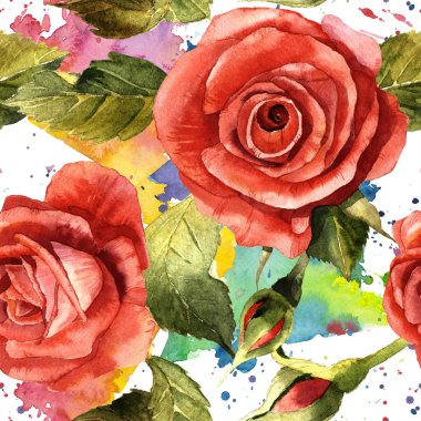 Suluboya kırmızı gül çiçek. Botanik çiçek. Sorunsuz arka plan deseni.