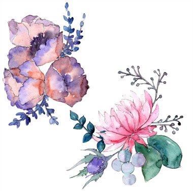 Sulu boya renkli buket çiçek. Botanik çiçek. İzole illüstrasyon öğesi.