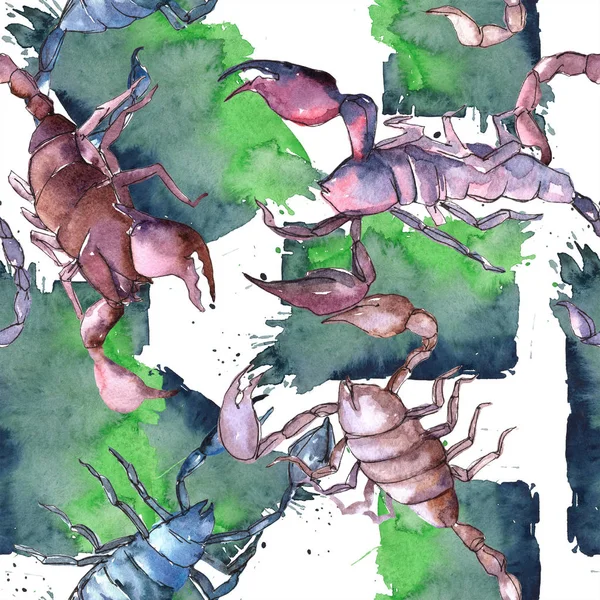 Exotické scorpion divoký hmyz ve stylu akvarelu, samostatný. Vzor bezešvé pozadí. — Stock fotografie