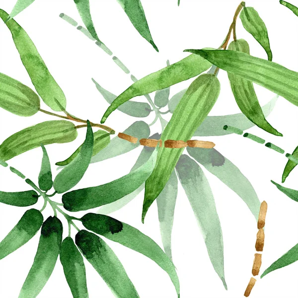 Hoja de bambú verde. Planta de hojas de jardín botánico follaje floral. Patrón de fondo sin costuras . —  Fotos de Stock