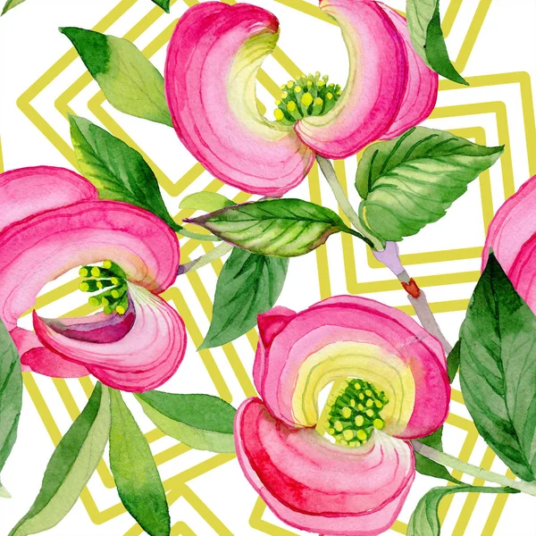 Akvarell rosa cornus florida blomma. Blommig botaniska blomma. Sömlös bakgrundsmönster. — Stockfoto
