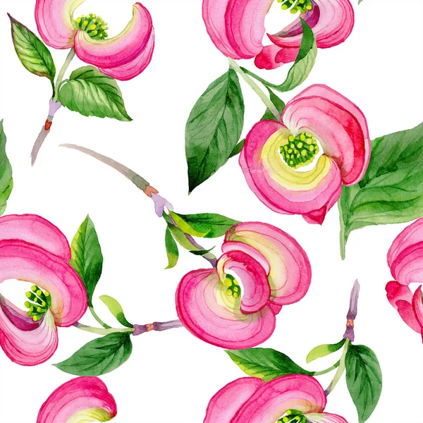 수채화 핑크 cornus 플로리다 꽃입니다. 꽃 식물 꽃입니다. 원활한 배경 패턴. — 스톡 사진