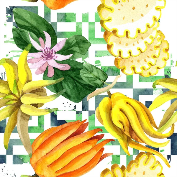 Pianta tropicale esotica frutti selvatici in stile acquerello isolato. Modello di sfondo senza soluzione di continuità . — Foto Stock