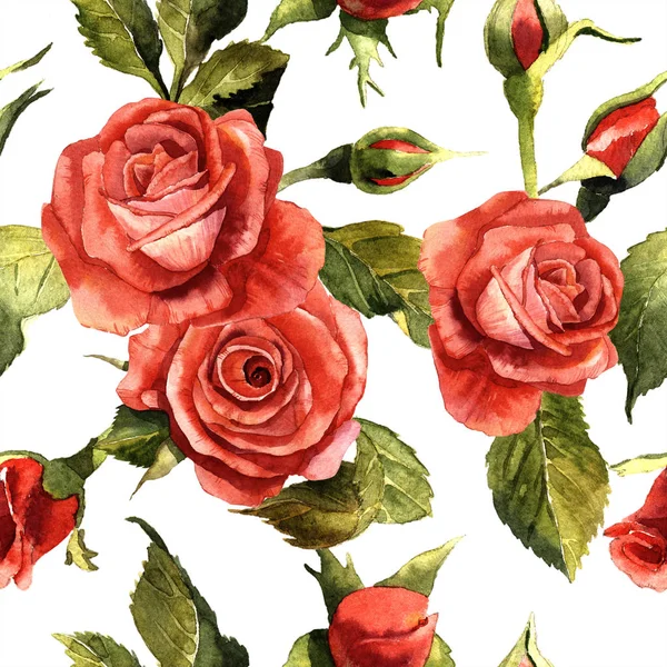 Aquarela flor rosa vermelha. Floral flor botânica. Padrão de fundo sem costura . — Fotografia de Stock