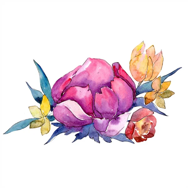 Akvarell färgglad bukett blomma. Blommig botaniska blomma. Isolerade illustration element. — Stockfoto