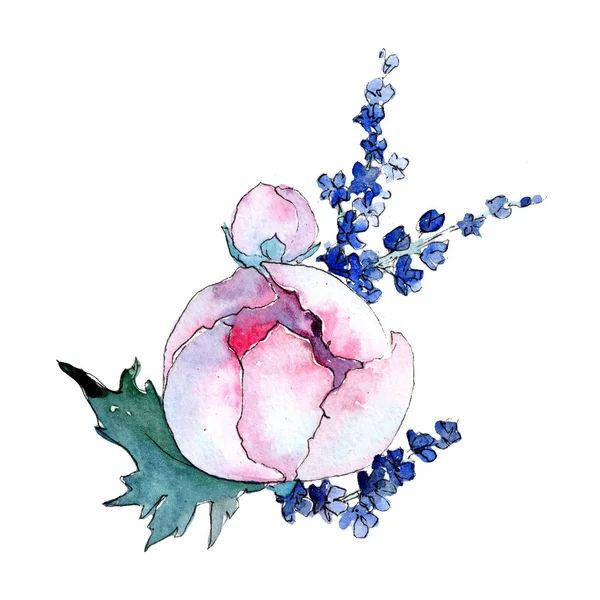 Bouquet aquarelle fleur colorée. Fleur botanique florale. Élément d'illustration isolé . — Photo