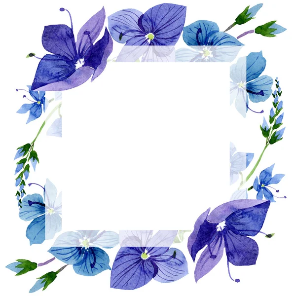 Acquerello blu Veronica fiore. Fiore botanico floreale. Quadrato ornamento bordo cornice . — Foto Stock