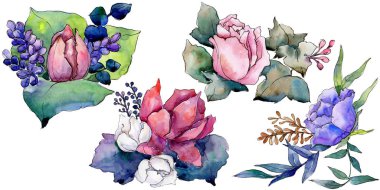 Sulu boya renkli buket çiçek. Botanik çiçek. İzole illüstrasyon öğesi.