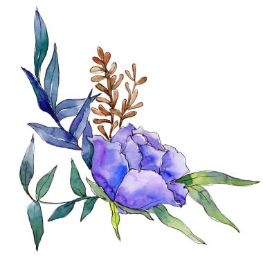 Sulu boya renkli buket çiçek. Botanik çiçek. İzole illüstrasyon öğesi.