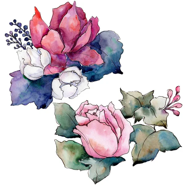 Bouquet aquarelle fleur colorée. Fleur botanique florale. Élément d'illustration isolé . — Photo