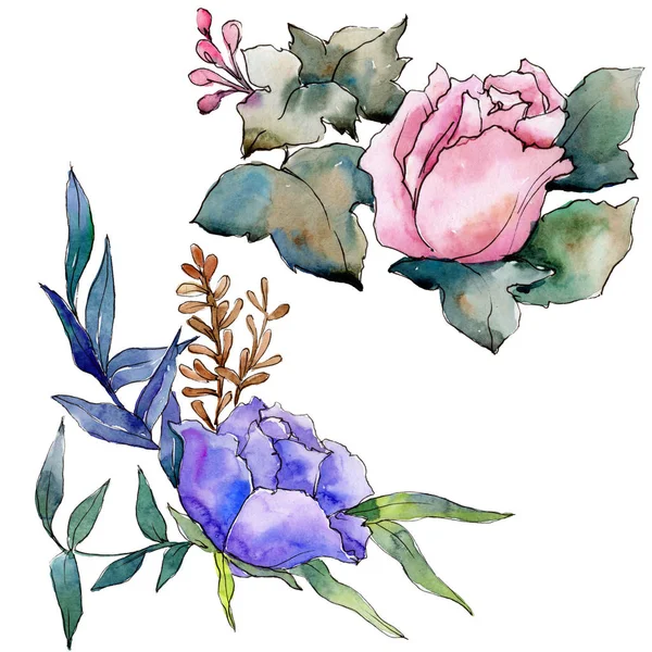 Bouquet aquarelle fleur colorée. Fleur botanique florale. Élément d'illustration isolé . — Photo