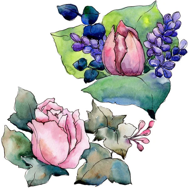 Bouquet aquarelle fleur colorée. Fleur botanique florale. Élément d'illustration isolé . — Photo