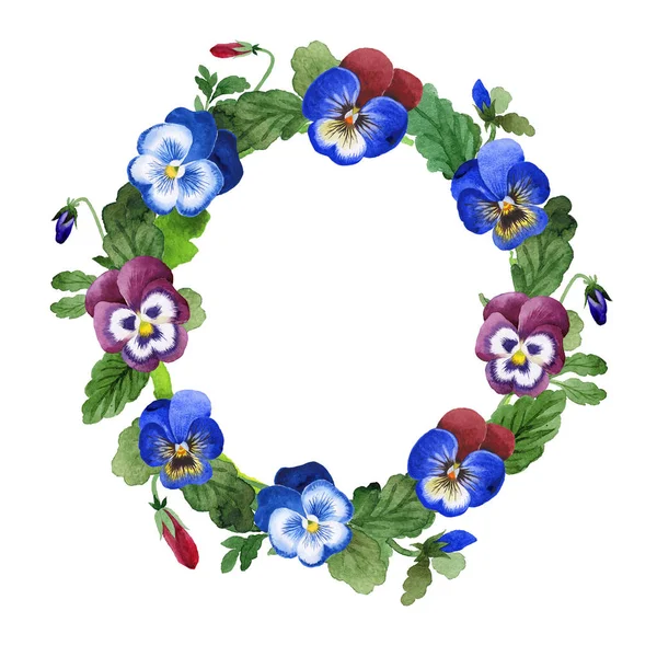 Κορνίζα μπλε βιόλα. Floral βοτανικό λουλούδι. Πράσινο φύλλο. Φύλλο φυτού Βοτανικός Κήπος floral φύλλωμα. Πλαίσιο συνόρων στολίδι — Φωτογραφία Αρχείου
