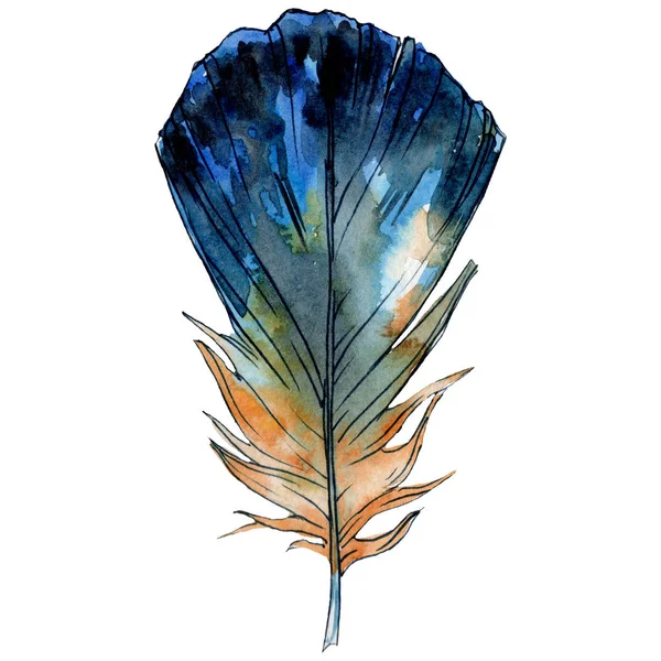 Blue yellow feater. Watercolor bird feather from wing isolated. Aquarelle feather for texture. Background set. — Stock Photo, Image