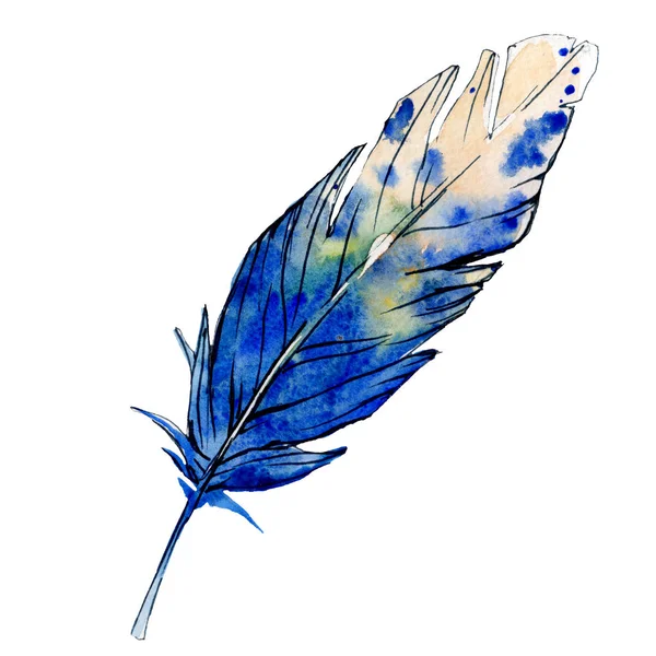 Blau-weiße Federn. Aquarell Vogelfeder vom Flügel isoliert. Aquarellfeder für die Textur. Hintergrund gesetzt. — Stockfoto