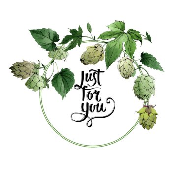Şerbetçiotu. Yeşil yaprak. Çerçeve kenarlığı süsleme. Sadece senin el yazısı monogram hat için. Yaprak bitki botanik bahçe çiçek yaprakları. Suluboya arka plan illüstrasyon seti.