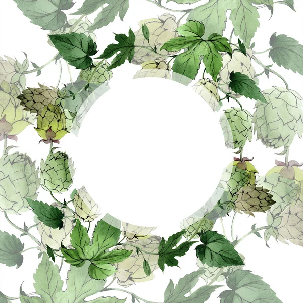 Hop. Groene blad. Frame grens sieraad. Botanische tuin floral gebladerte. Achtergrond aquarel illustratie set. — Stockfoto