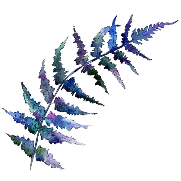 격리 된 블루 펀 그림 요소입니다. 수채화 배경 그림 설정 합니다. 푸른 잎. — 스톡 사진